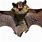 Bat Ears PNG