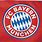 Bayern Munich Flag