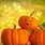 Beautiful Fall Pumpkin Backgrounds