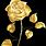 Beautiful Gold Roses