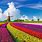 Beautiful Netherlands Landscapes