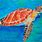 Beautiful Sea Turtle Art
