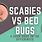 Bed Bugs or Scabies