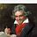 Beethoven Smiling