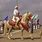 Berber Horse