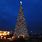 Biggest Christmas Tree