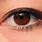Black Brown Eye Color