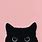 Black Cat Aesthetic Desktop Wallpaper