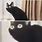 Black Cat OH No Meme