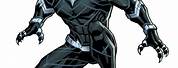 Black Panther Marvel Drawings