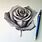 Black Rose Drawing Pencil