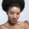 Black Woman Afro Hair