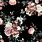 Black and Pink Flower Background