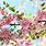 Blossom Wallpaper HD