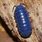 Blue Pill Bug