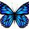 Blue and Purple Butterfly Art