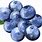 Blueberry Fruit Clip Art