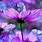 Breathtaking Beautiful Purple Flowers