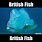 British Teeth Fish Meme