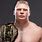 Brock Lesnar UFC Champion