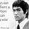 Bruce Lee Wisdom Quotes
