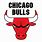 Bulls De Chicago
