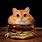 Burger Cat Meme