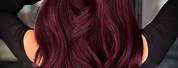 Burgundy Red Hair Dye