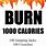 Burn 1000 Calories a Day