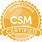 CSM Logo.png