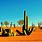 Cactus Desert Wallpaper 4K