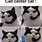 Call Center Cat Meme