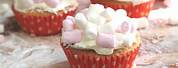 Can You Bake Marshmellows Inside Cupcakes