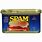 Can of Spam Image