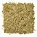 Canary Grass Seed