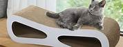 Cardboard Couch Cat Scratcher