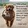 Caring for Animals Quotes