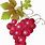Cartoon Grape Vine