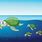 Cartoon Turtle Swimming