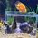 Cat Aquarium Fish Tank