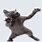 Cat Dance Meme GIF