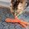 Cat Eating Carrot