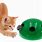 Cat Play Toys