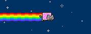 Cat Rainbow Meme Song