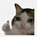 Cat Stickers for Discord