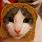 Cat with Bread On Head
