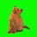 Cat with Green Screen