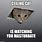 Ceiling Cat Meme