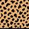 Cheetah Skin Pattern