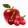 Cherry Apple Fruit